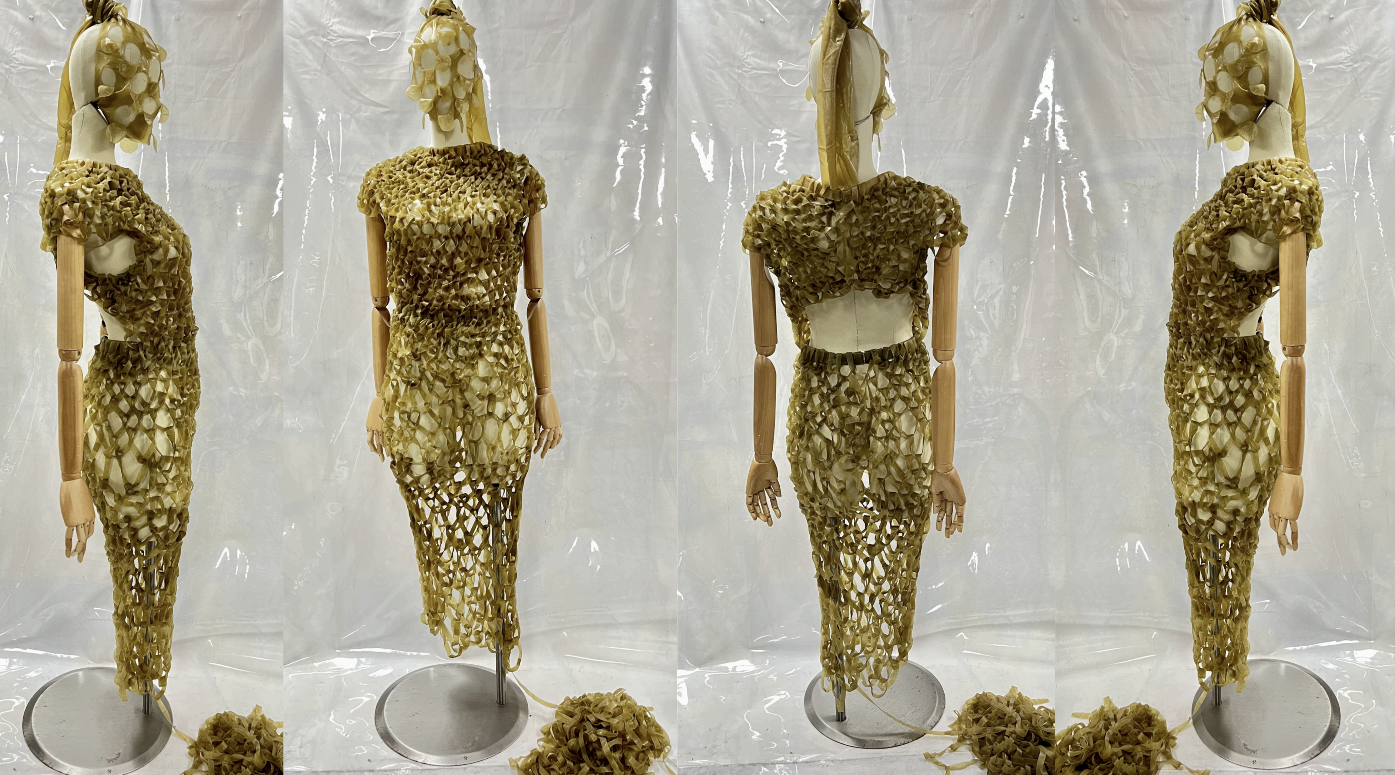 Ecdisis Manouia 02.png