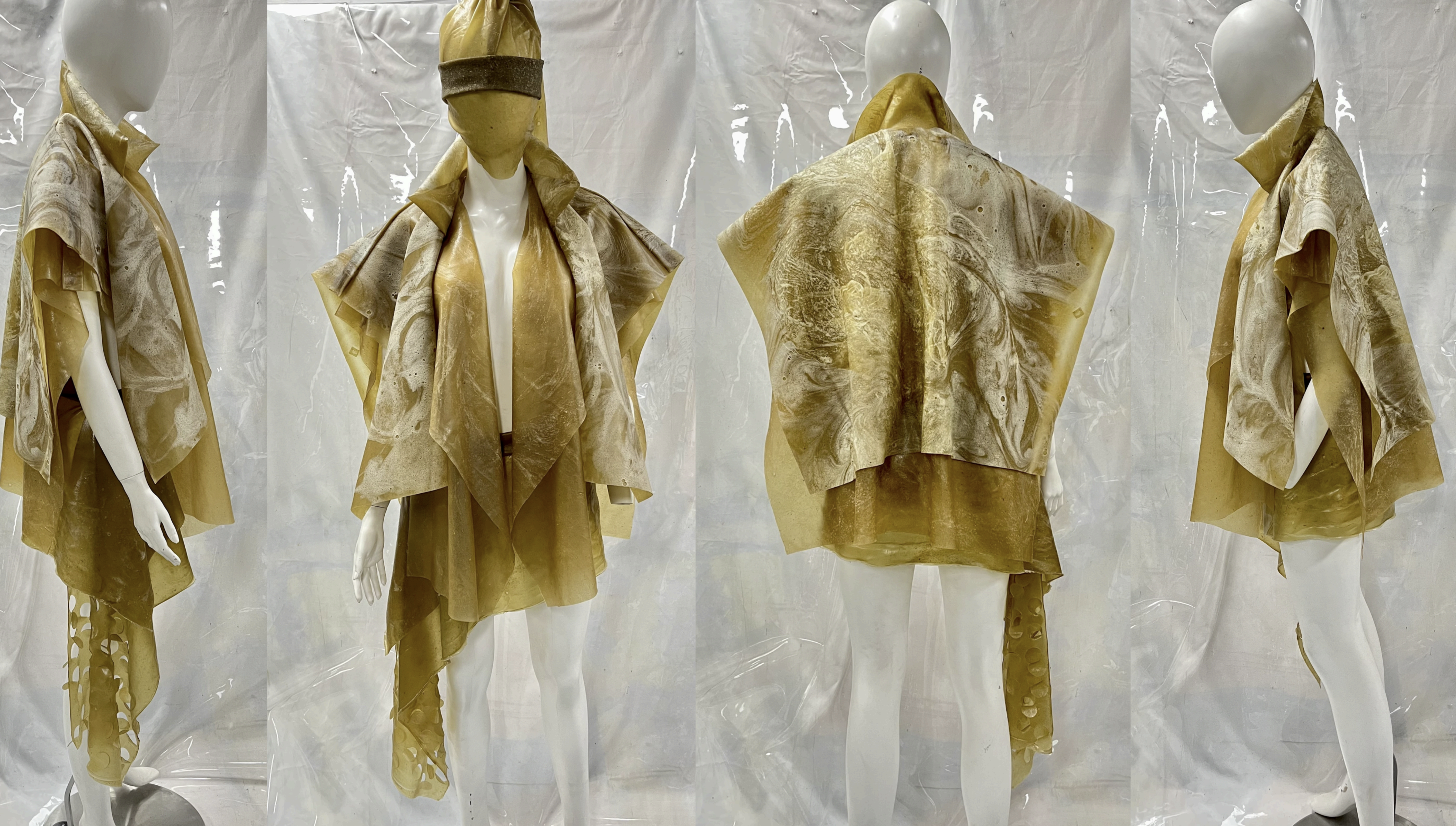 Ecdisis Manouia 01.png