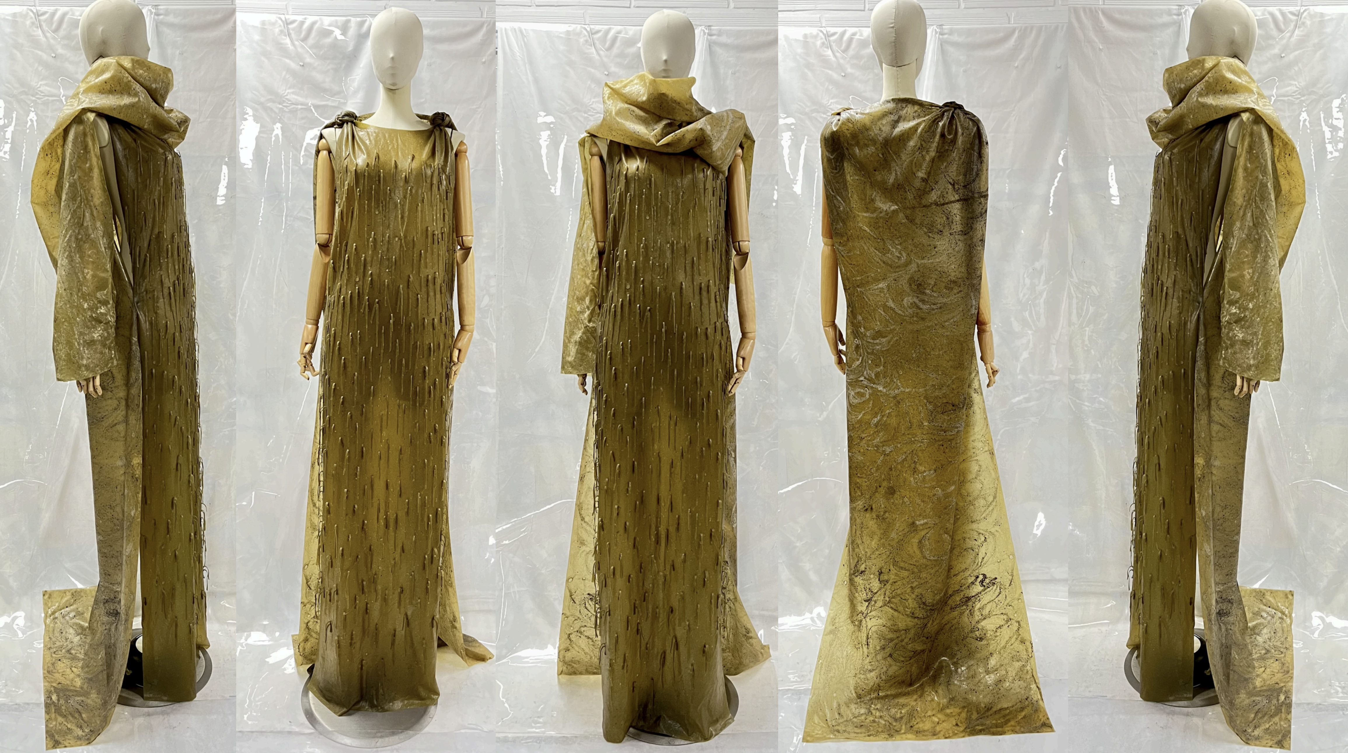 Ecdisis Manouia 03.png